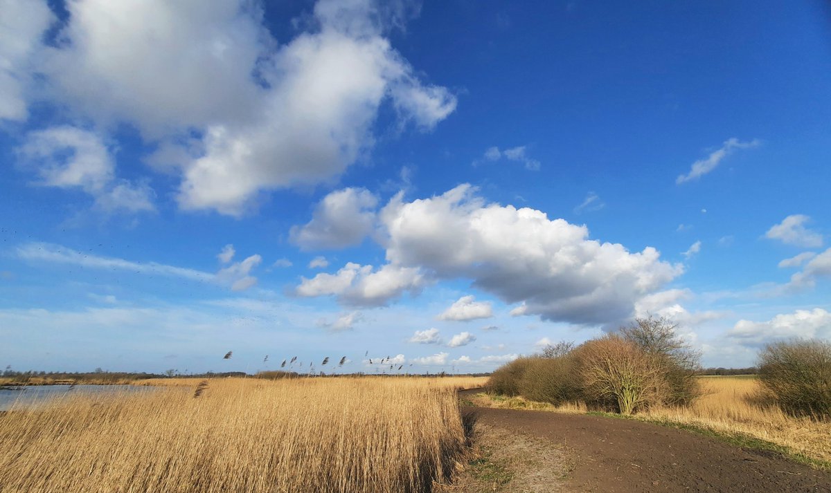 klaaswillemb's tweet photo. Fraaie #cumuli en #wolkenstraten te bewonderen deze namiddag bij het #easterskar #landscapephotography #sky #primavera #March2022 https://t.co/S8o4cpEAaD