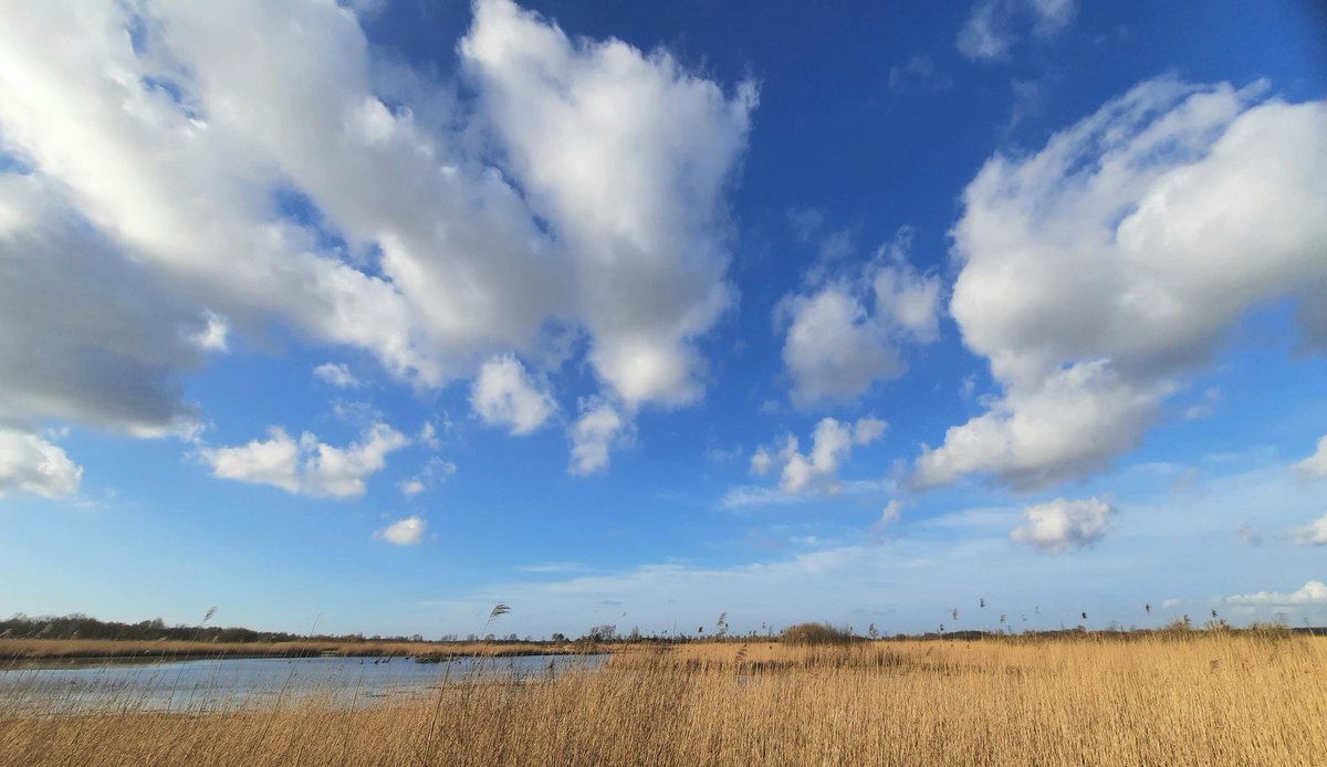 klaaswillemb's tweet photo. Fraaie #cumuli en #wolkenstraten te bewonderen deze namiddag bij het #easterskar #landscapephotography #sky #primavera #March2022 https://t.co/S8o4cpEAaD