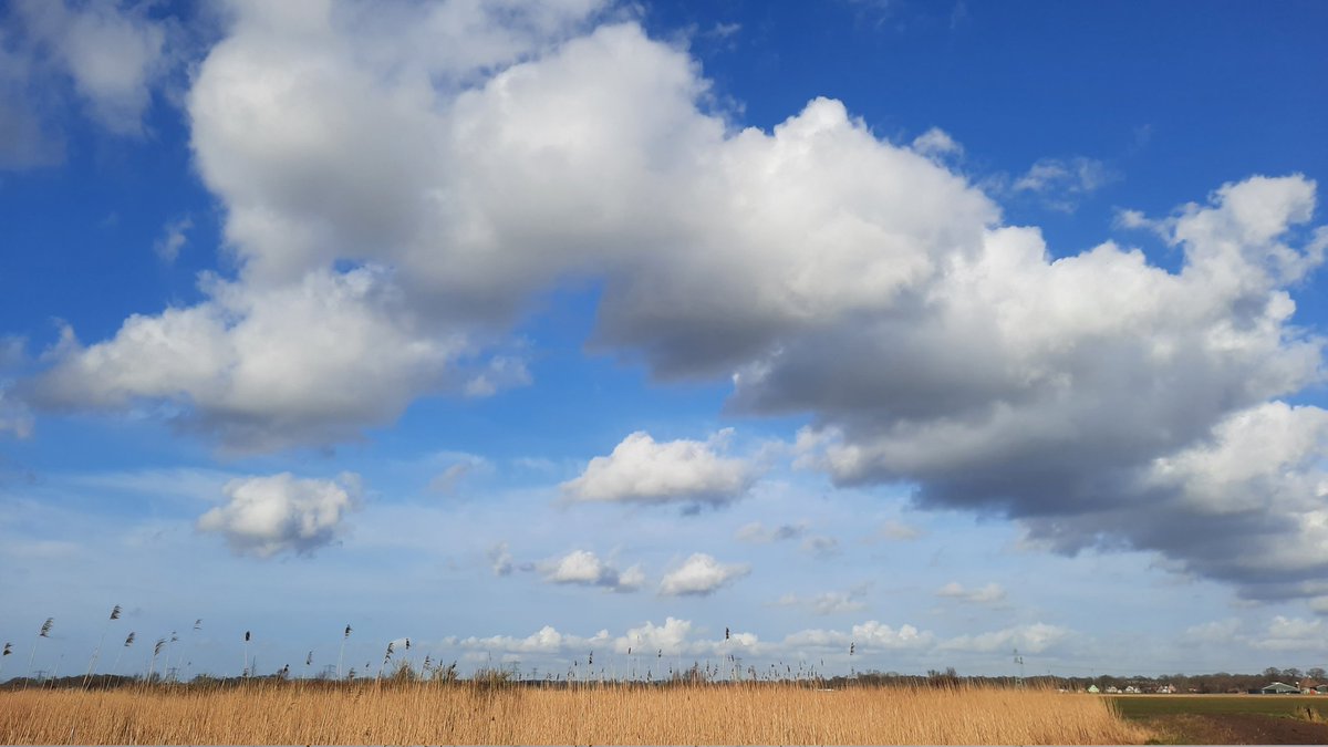klaaswillemb's tweet photo. Fraaie #cumuli en #wolkenstraten te bewonderen deze namiddag bij het #easterskar #landscapephotography #sky #primavera #March2022 https://t.co/S8o4cpEAaD