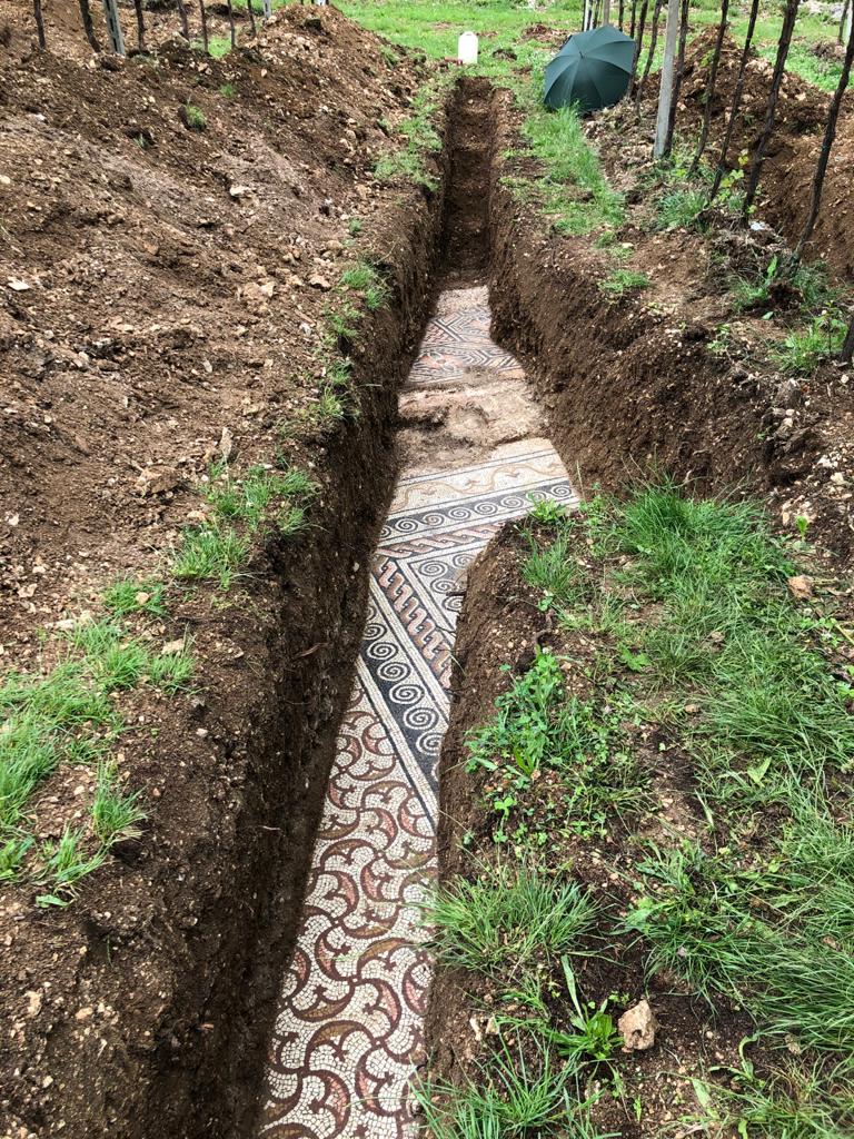 DrJEBall's tweet photo. A #Roman mosaic emerges from the ground below a vineyard, during excavations of a villa in Negrar di Valpolicella (Italy). It was put there over 1700 years ago - but looks like it could have been laid yesterday! #MosaicMonday (📷 Comune di Negrar di Valpolicella) https://t.co/K4dU8UNXmB