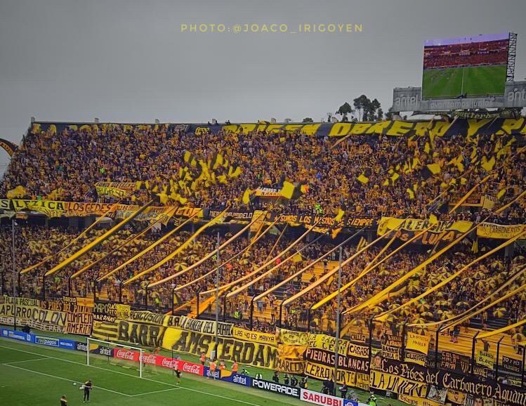 WilsonMendez86's tweet photo. El sábado @OficialCAP venció 2 a 0 a Cerro con goles de Walter Gargano y Agustin Da Silveira.
A segunda hora fue victoria 1 a 0 con anotación de Máximo Alonso. 

Básquetbol, los decanos sometieron a Defensor Sporting  Basquetbol, 74 a 66 https://t.co/0gTWrEYPDF