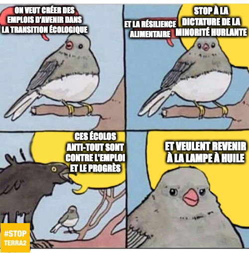 MemesDeST2's tweet photo. #StopTERRA2 #Memes #AnnoyedBird https://t.co/7v8UWLbKk8
