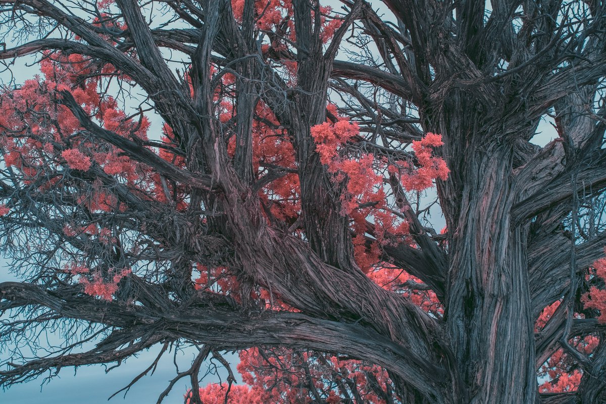 gmunk's tweet photo. #InfraMunk x Zion Textures ๐ฆ https://t.co/mmyZ2Qa1Al