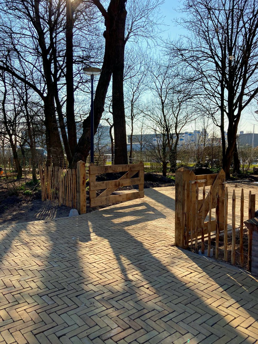 Bureau_RIS's tweet photo. Hekken, hagen en #takkenrillen....
de werkzaamheden gaan gestaag door bij aanleg #natuurspeelplaats naast #Maastuin in #ParkMaasboulevard in Schiedam.
#natuurlijkspelen #biodiversiteit #DeGorzen https://t.co/BOErqM7ACS