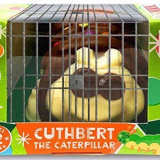 StrathAnnette's tweet photo. What’s your favourite birthday cake?

Today we have Colin VS Cuthbert! Comment down below who you’re rooting for! 🐛🐛🐛

#ogcolin #freecuthbert #marksandspencer #aldiuk 

@marksandspencer @AldiUK https://t.co/rcGecXjyEV