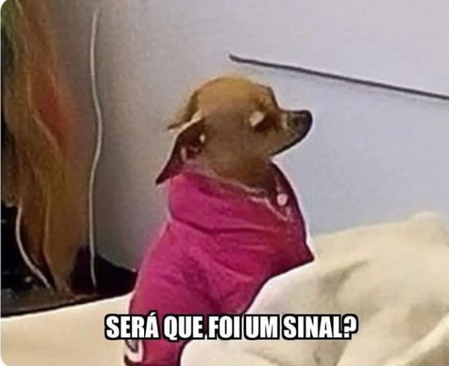 DocinhoOps's tweet photo. Eu quando acordo e tento decifrar meu sonho https://t.co/bZoUwUT2cZ