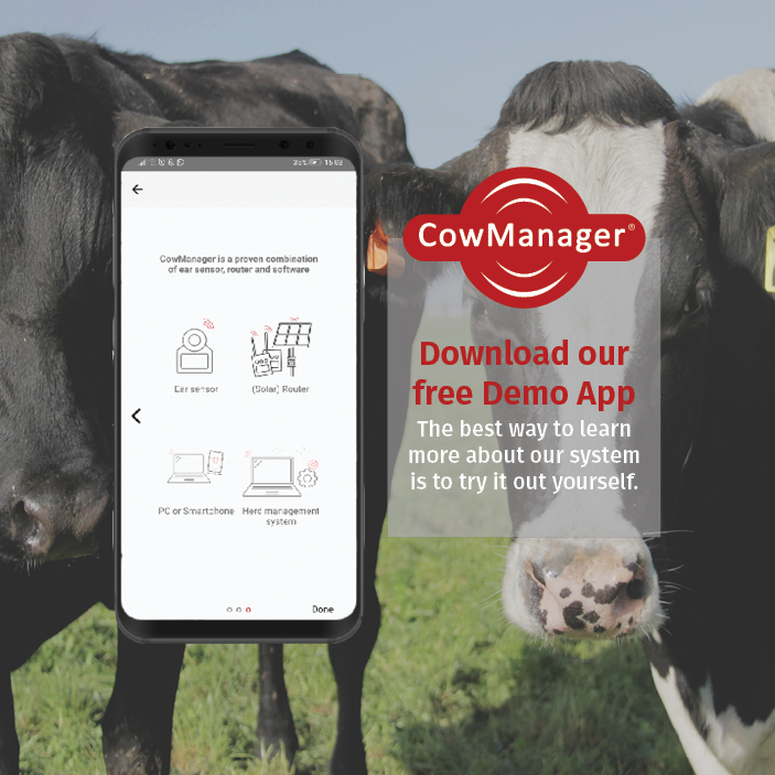 CowManager's tweet image. Want to try #CowManager yourself? Download the free #DemoApp and discover all the benefits of monitoring your herd 24/7 with CowManager. ➡️ bit.ly/3vhL9Hn