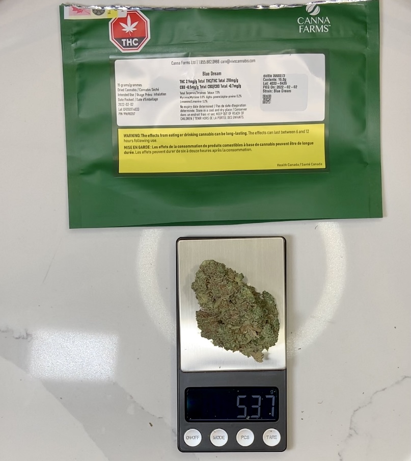 5.37g bud from the latest lot of 21% Blue Dream. Click here to see more: bit.ly/3MLruWK