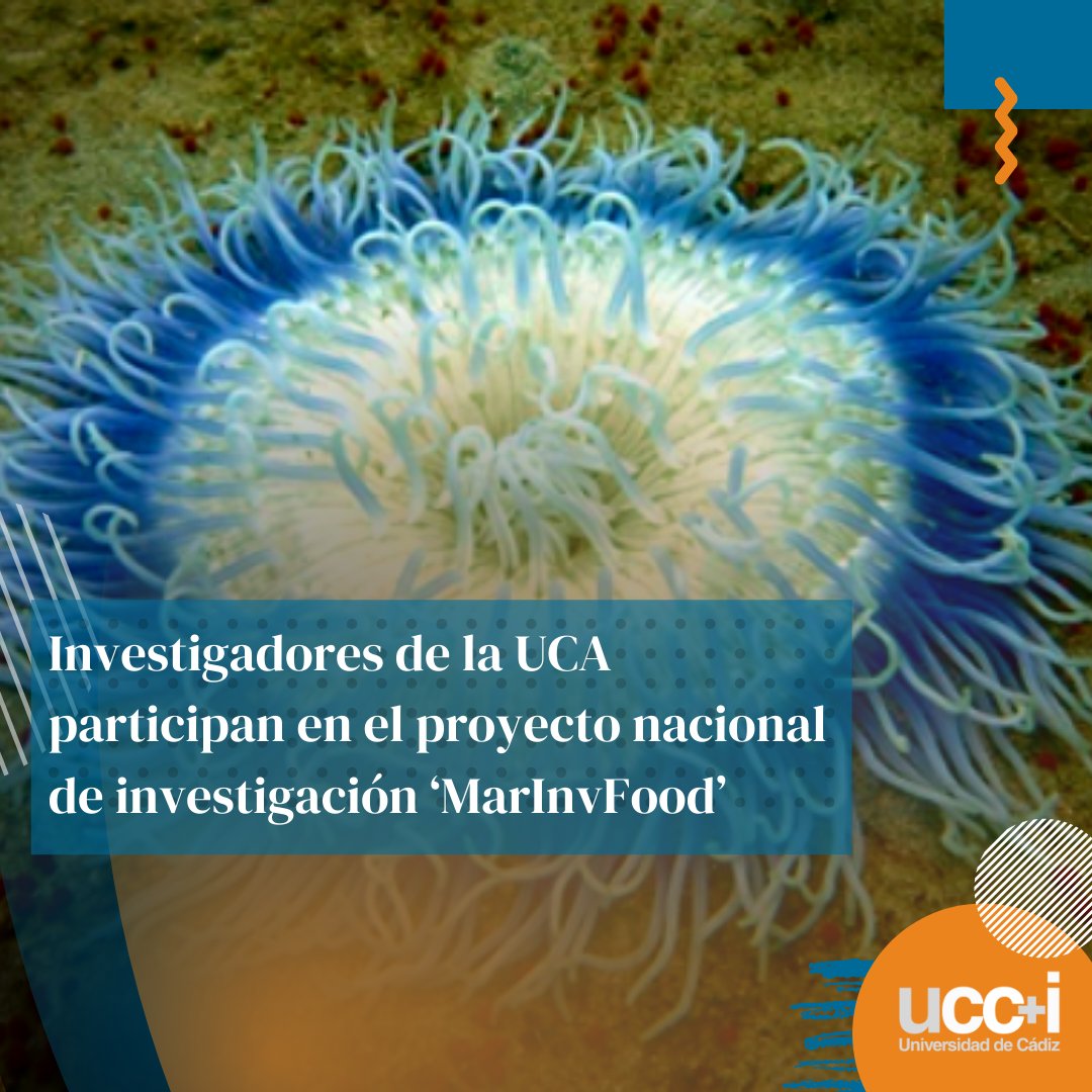 Divulga_UCA's tweet photo. 🐙🔍 Ana Roldán y Victor Palacios, investigadores del departamento de Ingeniería Química y Tecnología de Alimentos de la @univcadiz participarán durante en el proyecto liderado por el @ICTAN #MarInvFood https://t.co/XioQAsCZrH