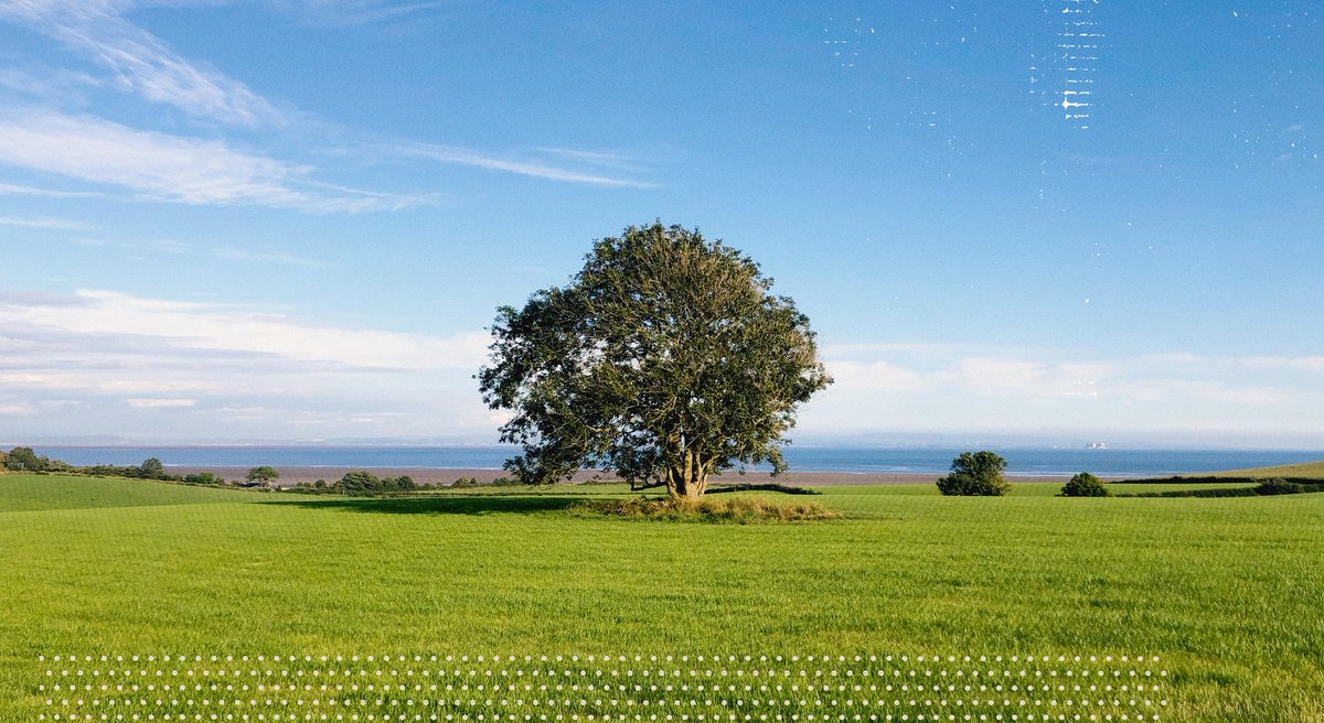 What about this for a site for a festival though? 😍