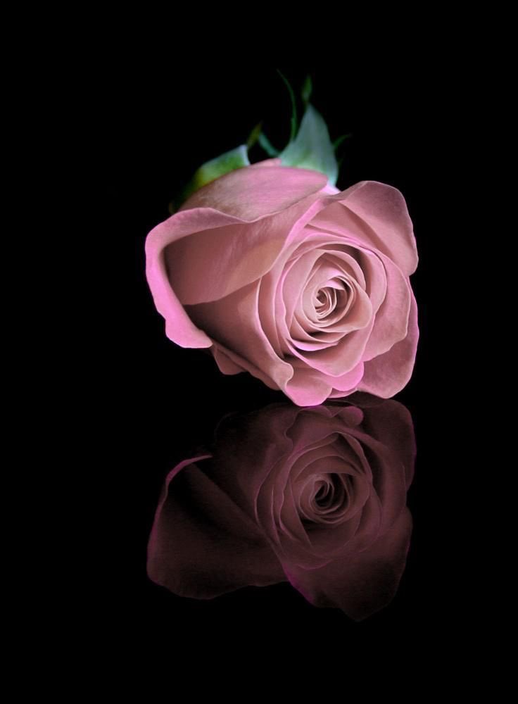 Beyond___you's tweet photo. مُحبت کی بس یہی خامی ہے یہ اپنی گہرائیوں میں لے جائے تو سانس لینا نامُمکن اور سطح پر چھوڑ دے تو اِسے عبور کرنا مُحال_______!💔🙃
#___Afee 🍂
#قومی_زبان https://t.co/nIX3sivZn9
