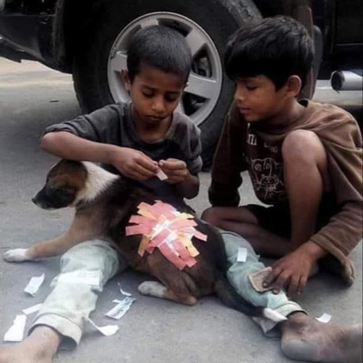 WaderaBahi's tweet photo. منزل تِری تلاش میں گھومے گی دَر بدر !
خلقِ خُدا کی راہ سے پتھر ہٹا کے دیکھ

عرشِ بَریں پہ ہو گا تِرا تذکرہ بحال !
اَپنے پرائے سب کو ذرا مسکرا کے دیکھ۔۔۔ https://t.co/mcBZFCFyxO