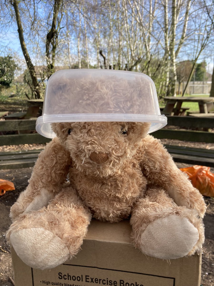 Miss Burrows tweet media