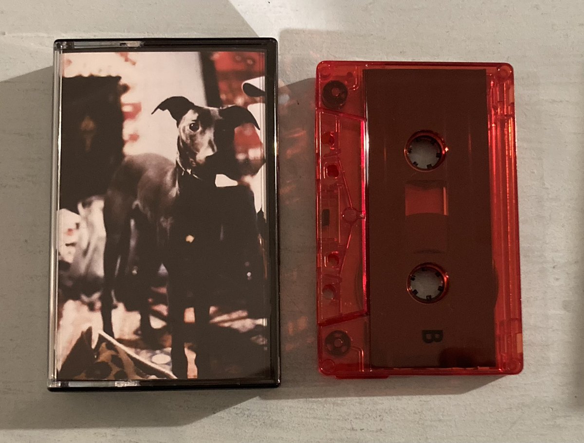 M. BUTTEЯFLY tweet media