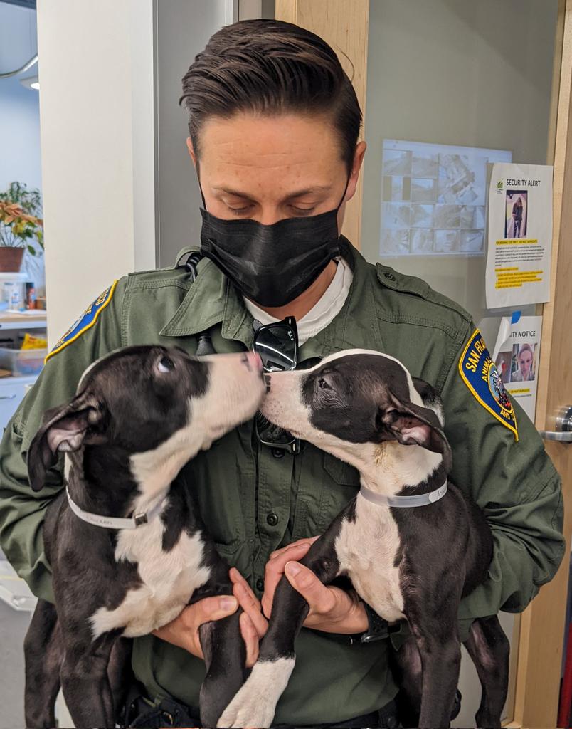OfficerEdith's tweet photo. Imagine being the third wheel on a dog date? How embarrassing for Officer Ryer. https://t.co/nLMBr1xvjF