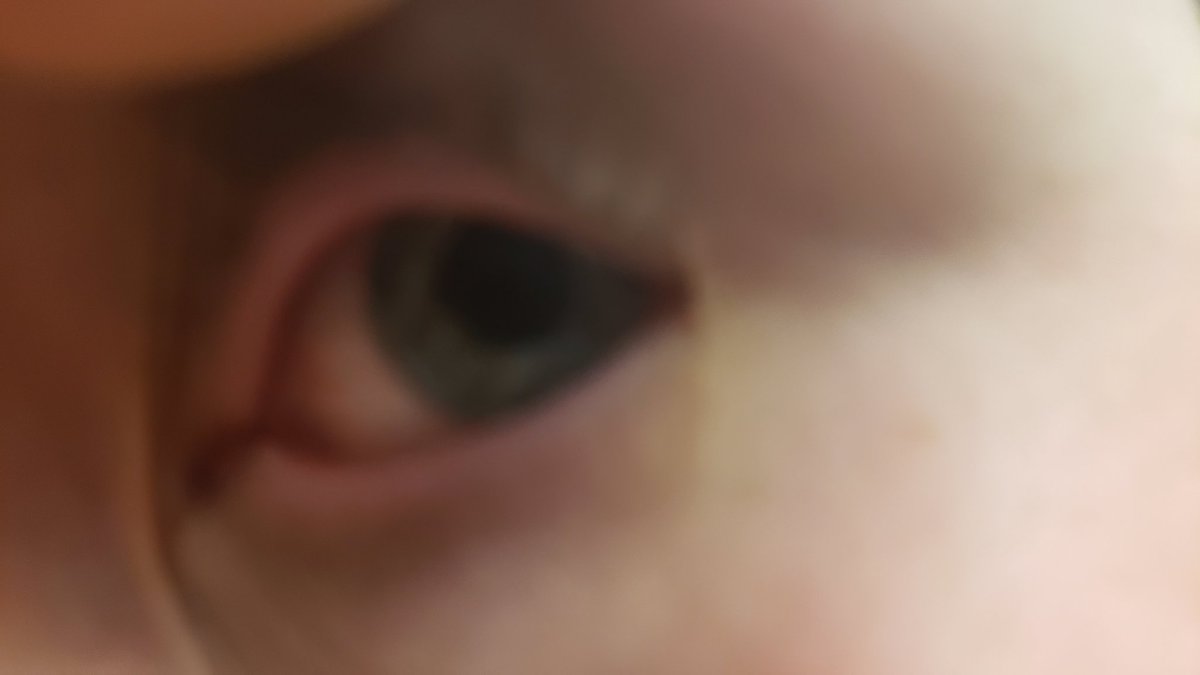 neapian's tweet photo. Eye Eye Eye Eye Eye Eye https://t.co/mv33651bFB