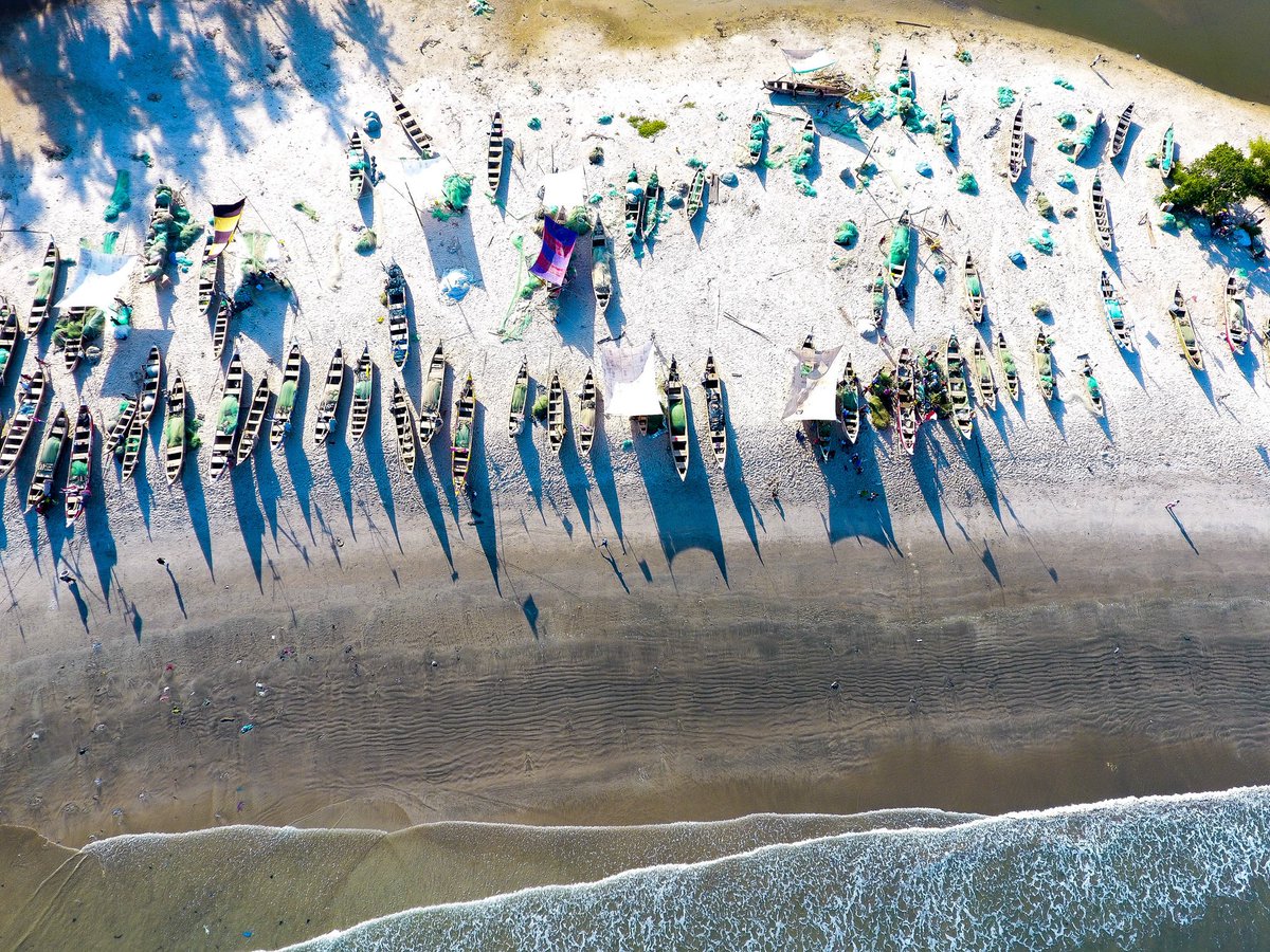 Bronibibini tweet media