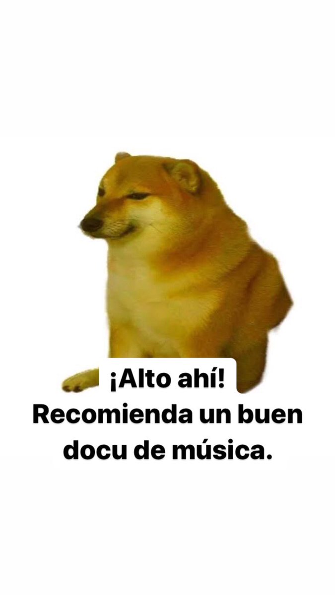 AMBULANTE tweet media