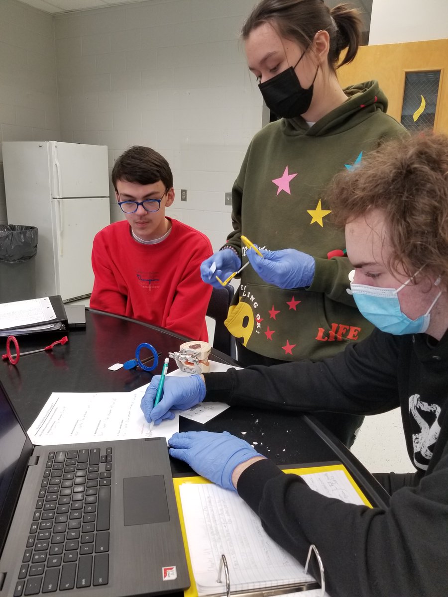 HSTHealthSci's tweet photo. Highland School of Technology 
Dental V Class working with Rinn XCP holders
@CTEforNC @HighlandGaston https://t.co/rsmPpxt3VH