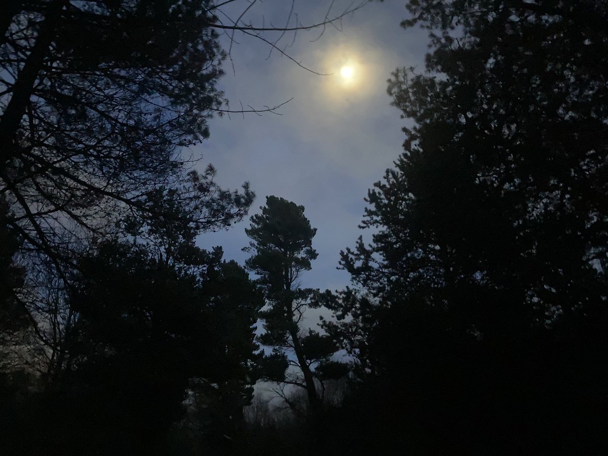 Sally__D's tweet photo. Out walking at dusk and I have my very own moonlight shadow! It’s so magical this evening; the owls are out and about, doing their thing #DH7 #lovewhereyoulive #railwaypaths https://t.co/g7M2bQ4dbL