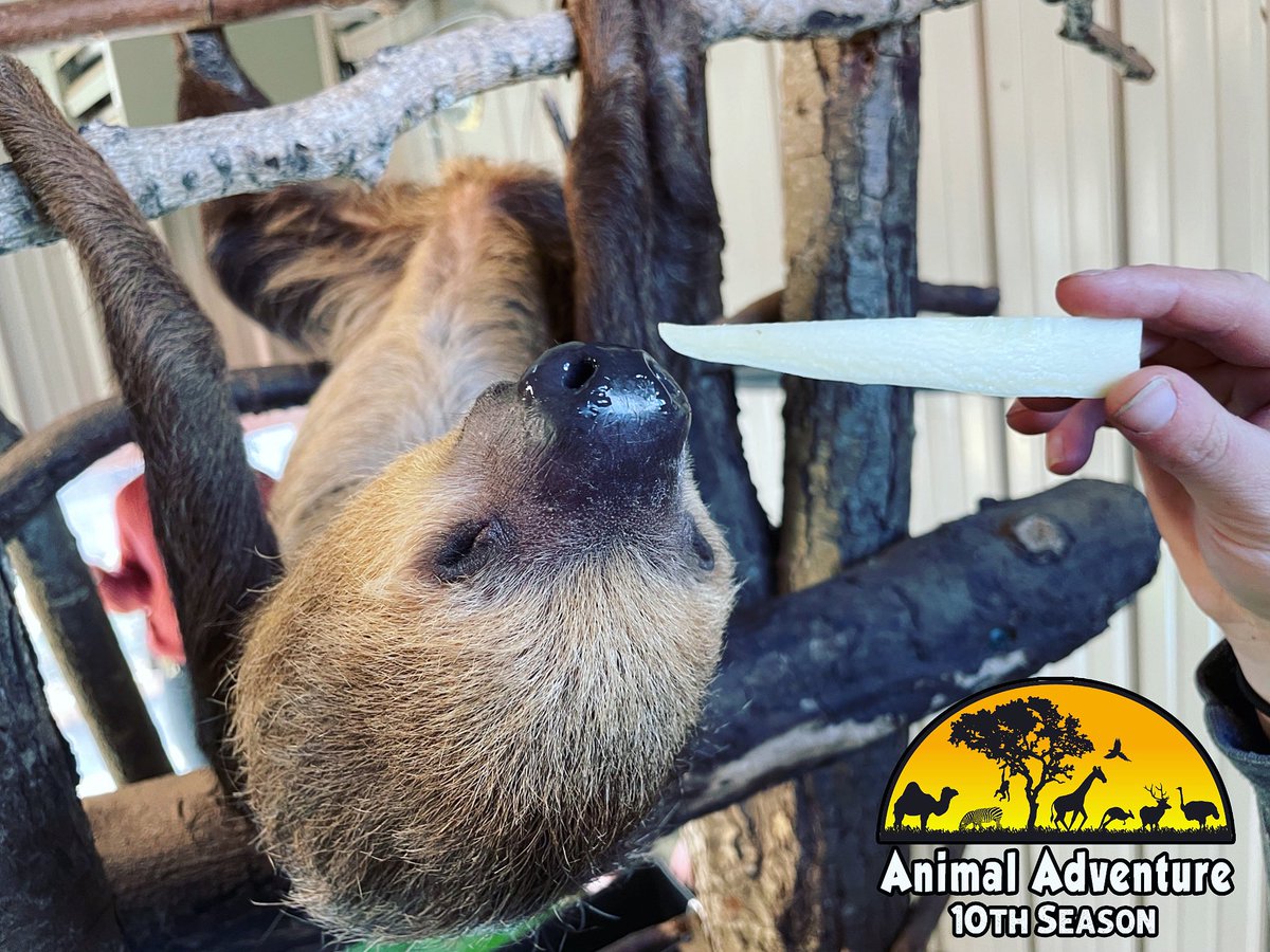 Animal Adventure Park tweet media