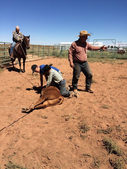 azfb's tweet photo. #StillRanching The Flake family has been ranching and farming in Navajo County for almost a century. Here Grandpa Gerald Flake has roped a calf that son Will and his children vaccinate and brand. Ranching is a family affair for the Flakes. This photo represents 3 generations. https://t.co/y6apAFLkKr