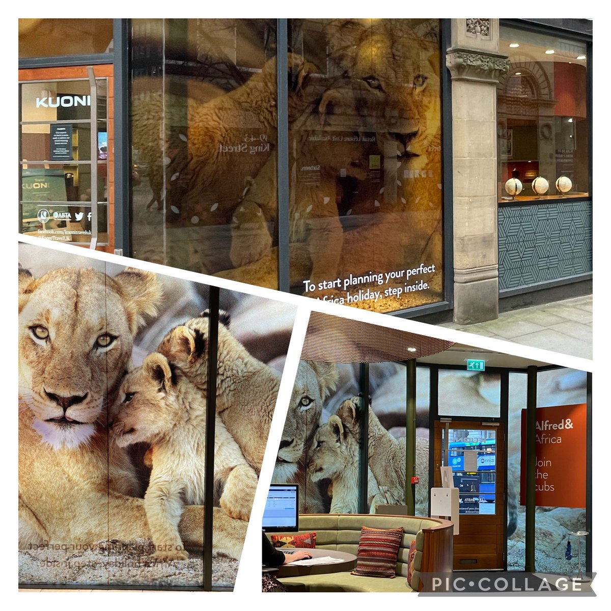 KuoniManchester's tweet image. A window display almost as awe-inspiring as the experience itself! @KuoniManchester #travelon #letstravel
