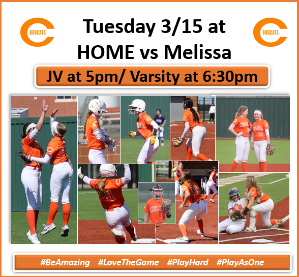 Celina Softball tweet media