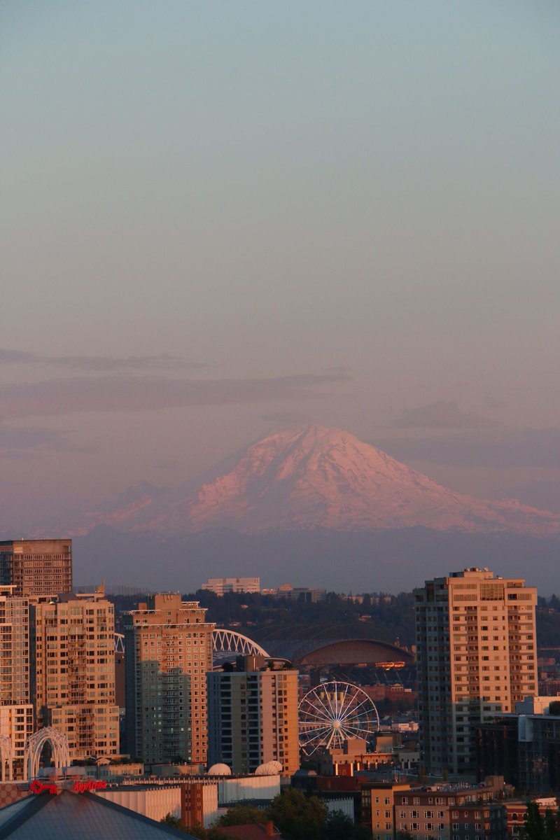 Thompson Seattle tweet media