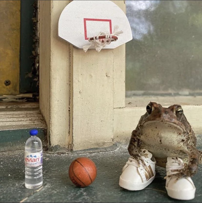 UnhingedTwit's tweet image. 