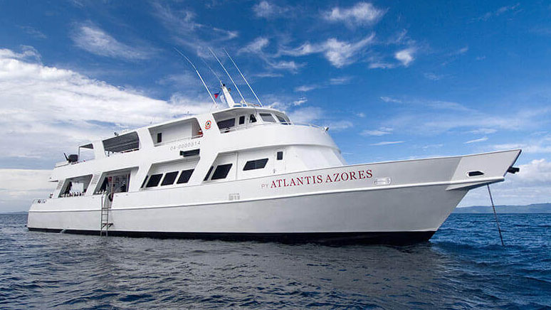 OpticalOcean's tweet image. 🌴 Dive the Philippines This May &amp;amp; Save $1000! - mailchi.mp/opticaloceansa…