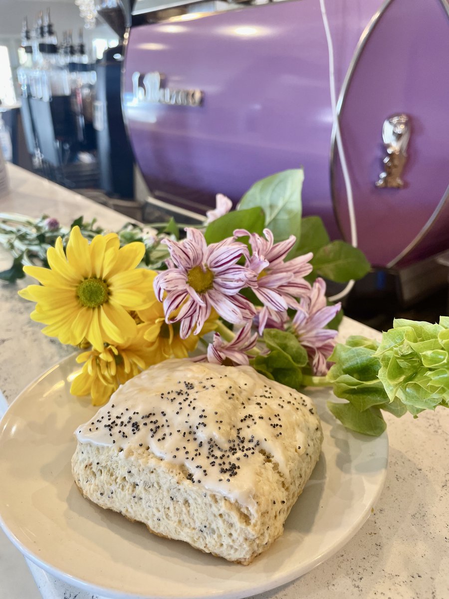 Fiddleheads Coffee tweet media