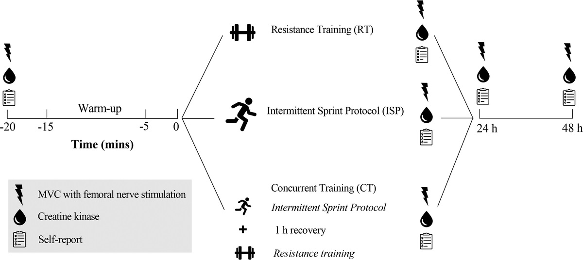 MSSEonline's tweet photo. This study aimed to examine the changes in muscle contractile function, voluntary activation, and muscle damage after lower limb resistance training (RT), intermittent sprint exercise, and concurrent training (CT).

https://t.co/0mn2qLQQgP https://t.co/2LmyWx1HKl