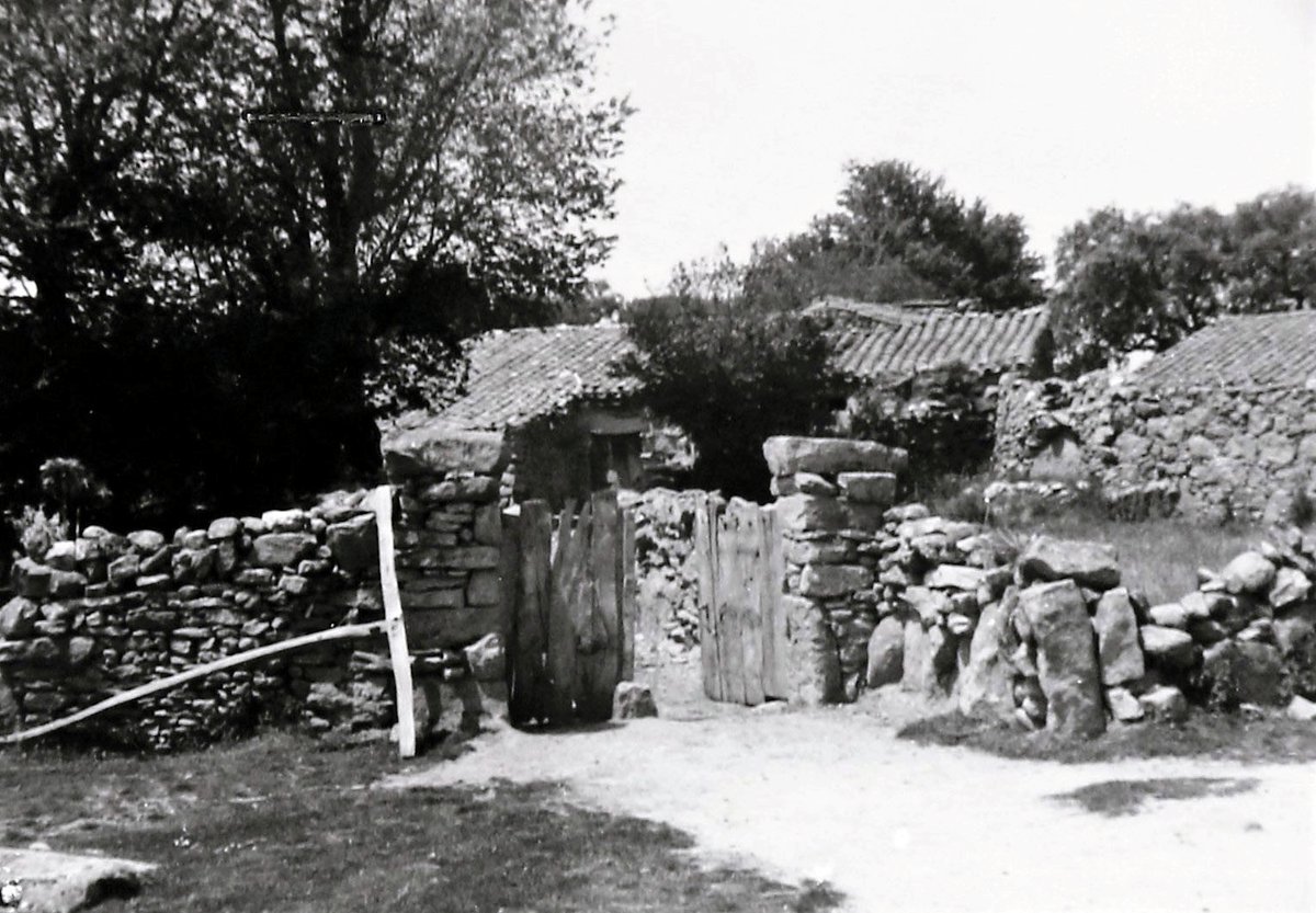 BenitoPellitero's tweet photo. Casa de piedra en la calle el Pozo Figal de #Gamones [#Sayago; #Zamora] , año 1973.
Autor: Desconocido
Procedencia: Fototeca Benito Pellitero https://t.co/G8eoZNa9u3
