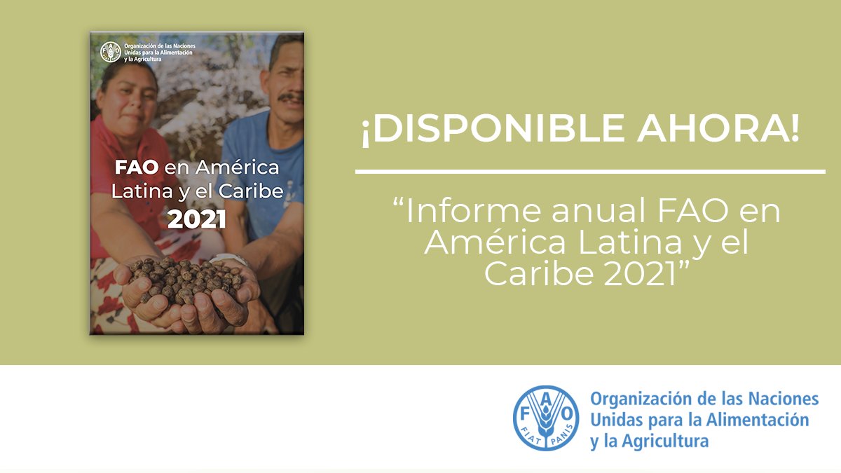FAOAmericas's tweet photo. 📚Conoce los grandes resultados del trabajo de la FAO en América Latina y el Caribe durante 2021.

📌Se puede avanzar hacia un mundo mejor, incluso en uno de los periodos más demandantes de la historia reciente.

🔎📗⬇️
https://t.co/XaLQVT4Qcq https://t.co/xmaRVhTECD