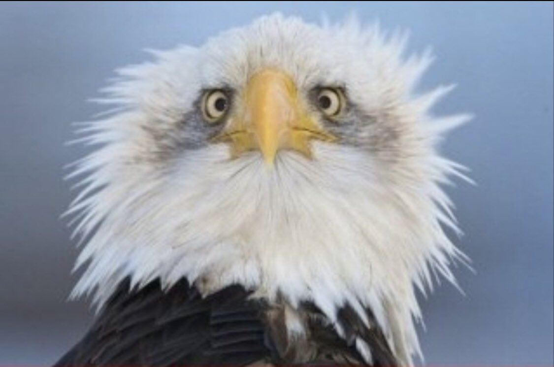 HAFTA BOYU ACİKLAMALARDAN SONRA BEŞİKTAŞ CEPHESİ #keremakturkoglu #ridvan #GSvBJK