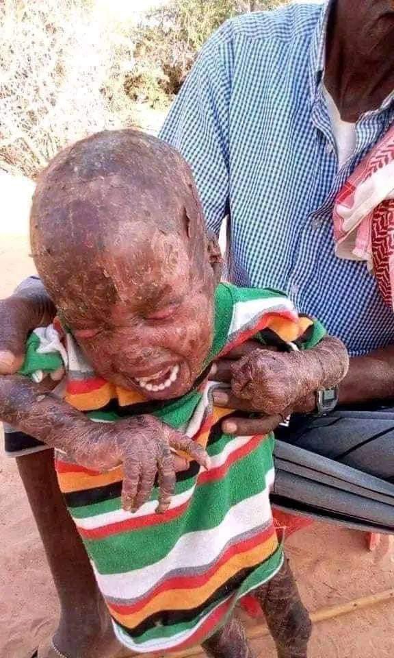 Shalomzon's tweet photo. @SenRubioPress @chamorrocris When will this end?
#Afar marks 76 days since the War ignored by federal government Launched on ze Northern part of the region by #TPLFTerrorists Invaders. It's people being fled everyday to Unknown places #TplfIsWarCriminal
#BidenAdmin🛑#stopsupportterrorism 

#AfarUnderAttack https://t.co/a7cVdL9og3