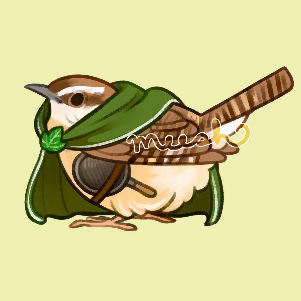 Dark-Eyed Junco &amp; Carolina Wren ✨