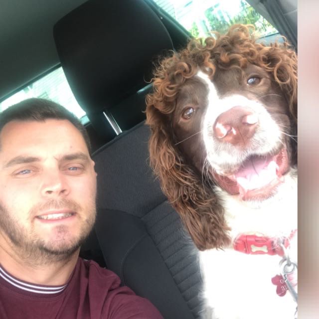 🎉5 today!🎉 Whar a boy he is 🐶