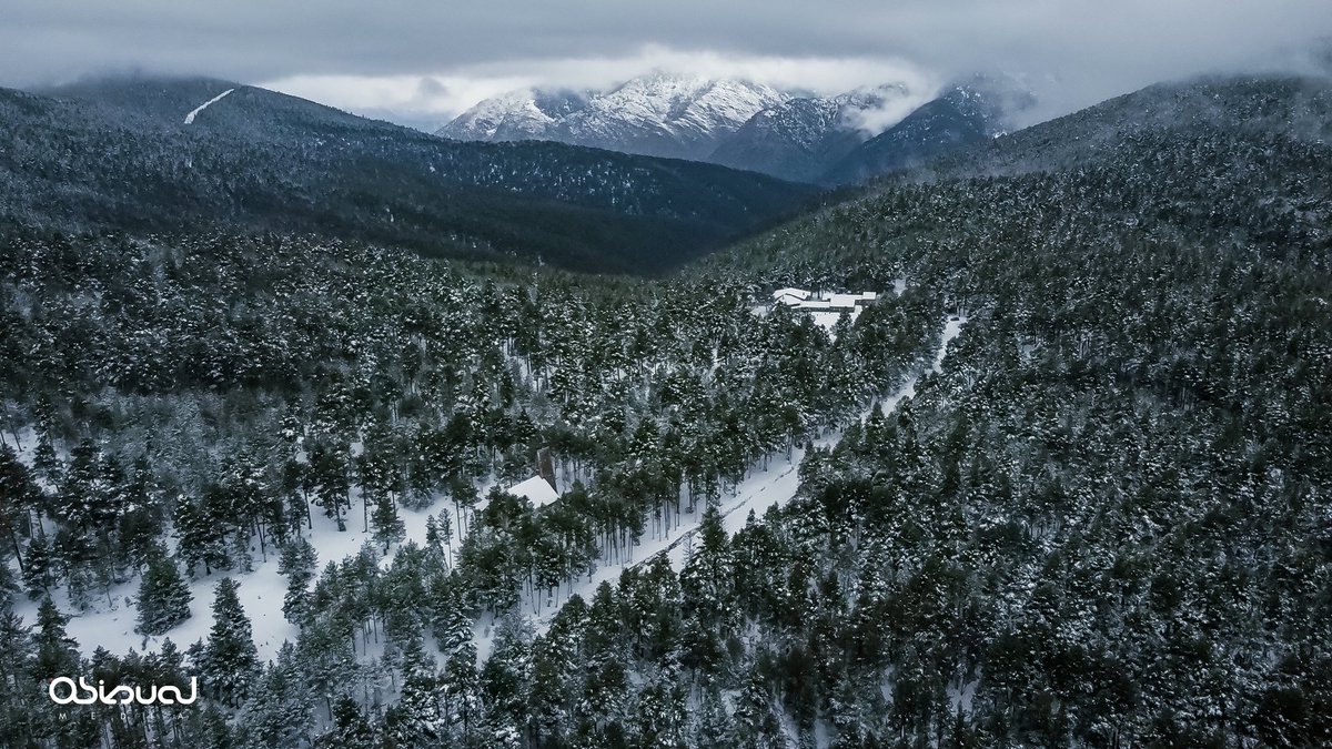 📍St. Joan de l'Erm

Així tenim el Pirineu... fent honor al seu nom ❄💚

Us agrada? 😍