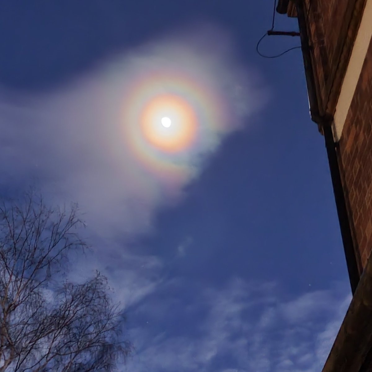 John Mitchell tweet media