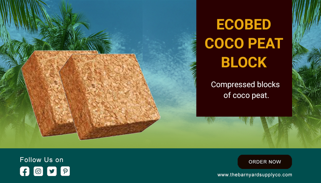BarnyardSupply's tweet photo. EcoBed Coco Peat Blocks are compressed blocks of coco peat.

Shop Now: https://t.co/DI3rOzTIgr

#cocopeat #coconut #natural #cocohusk #cocofibres #ecofriendlyliving #farms #usafarmsupplies #Cocopeatblock #organic #TheBarnyardsupplyco #EcoBedcocopeatblock #USA #California #Oakland https://t.co/jTz20aZNHV