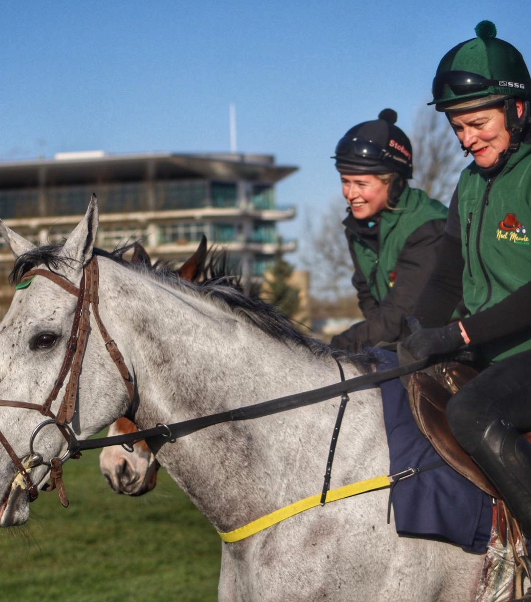tuvastables's tweet photo. Fab morning in @CheltenhamRaces with the horses stretching their legs, taking in the sights #toutestpermis #dalytiger #beaconedge #caskmate #jesseevans #hesahardybloke @emmacbutch @emma_murrayy98 @_Maguire_10 @PatTaaffe1 https://t.co/Ac3bVc7K7n