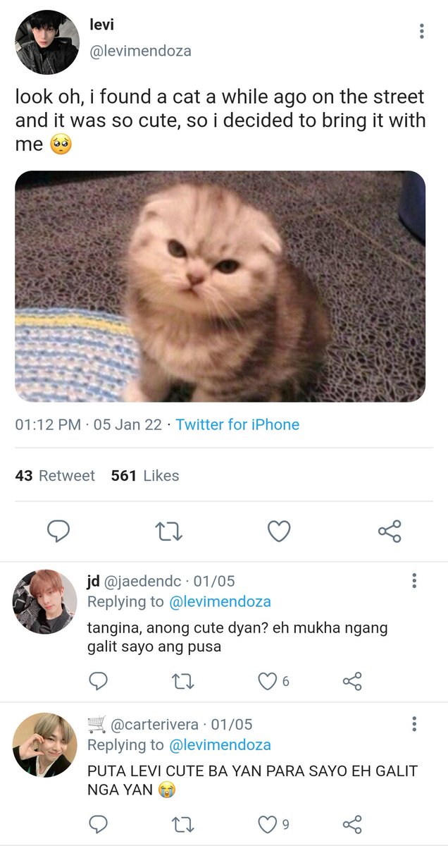 enfict's tweet photo. a filo #sunwon au ; wherein levi (sn) found a cat on the street on his way home, but the next day he went home, he was horrified as he saw someone eating on his kitchen, comfortably. https://t.co/pTFl2T2YQX