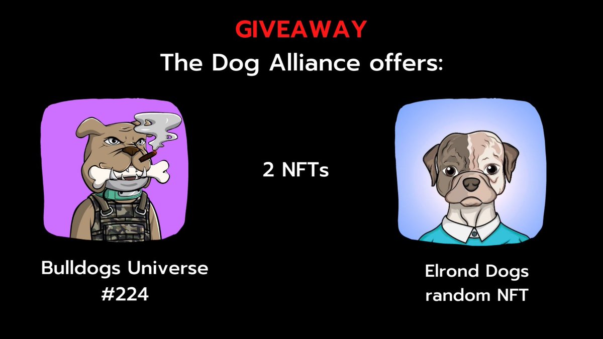 Elrond Dogs tweet media