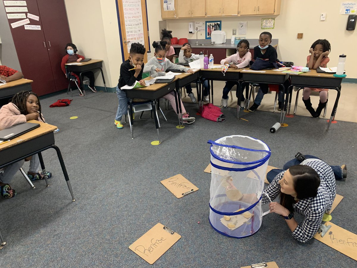 Mrs_Renfroe's tweet photo. Thank you @PaigeMaloneKES for join our class to read and observe our #Butterflies #Grooviecorns @franklinscsu @gore_mgore @jamesann_sheley @Killian_STEAM https://t.co/fBcB5nYIxg