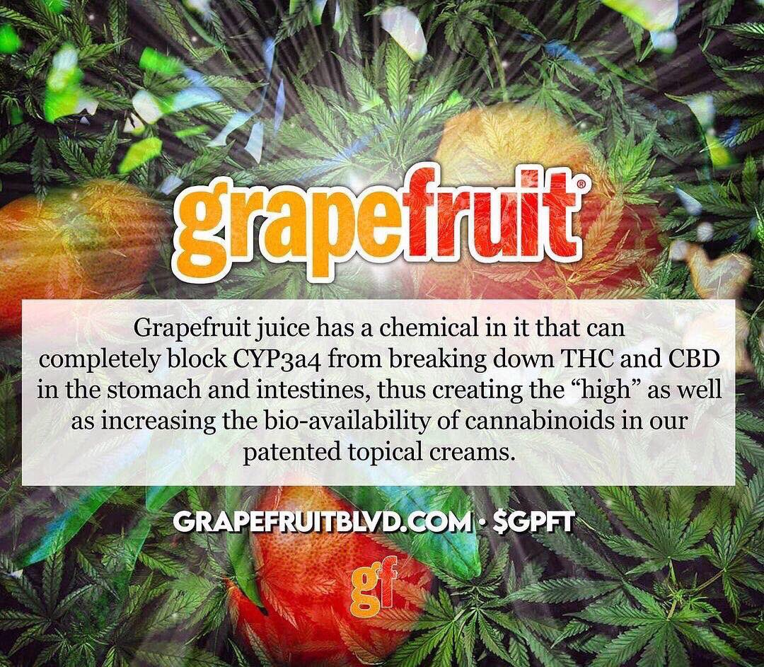 grapefruitusa's tweet photo. Join the family $GPFT

#gpft #grapefruit #gpft #explore #explorepage #stock #stocks #pennystocks #growth #mmj #stocktrading #stockmarket #stockmarketnews https://t.co/zqFNZsR71d