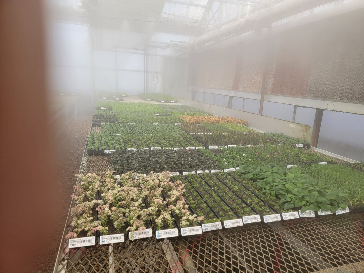 Neb_EMGV's tweet photo. Day two first stop of @UNL_Hort_Club #springbreak2022 Gulley Greenhouse - plants are coming home! A picnic in Two Silo s park - @unlagrohort @UNL_CASNR https://t.co/yXrGM00Q3b