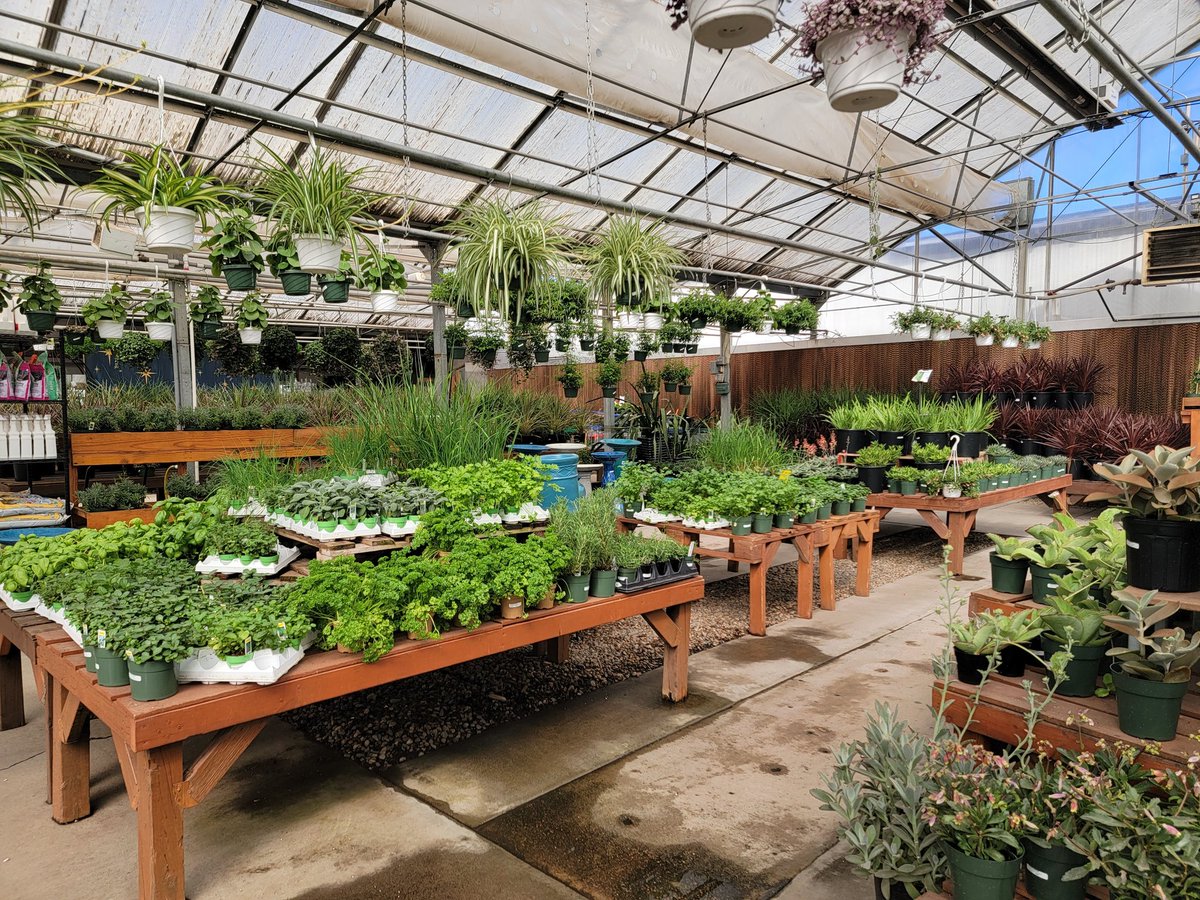 Neb_EMGV's tweet photo. Day two first stop of @UNL_Hort_Club #springbreak2022 Gulley Greenhouse - plants are coming home! A picnic in Two Silo s park - @unlagrohort @UNL_CASNR https://t.co/yXrGM00Q3b