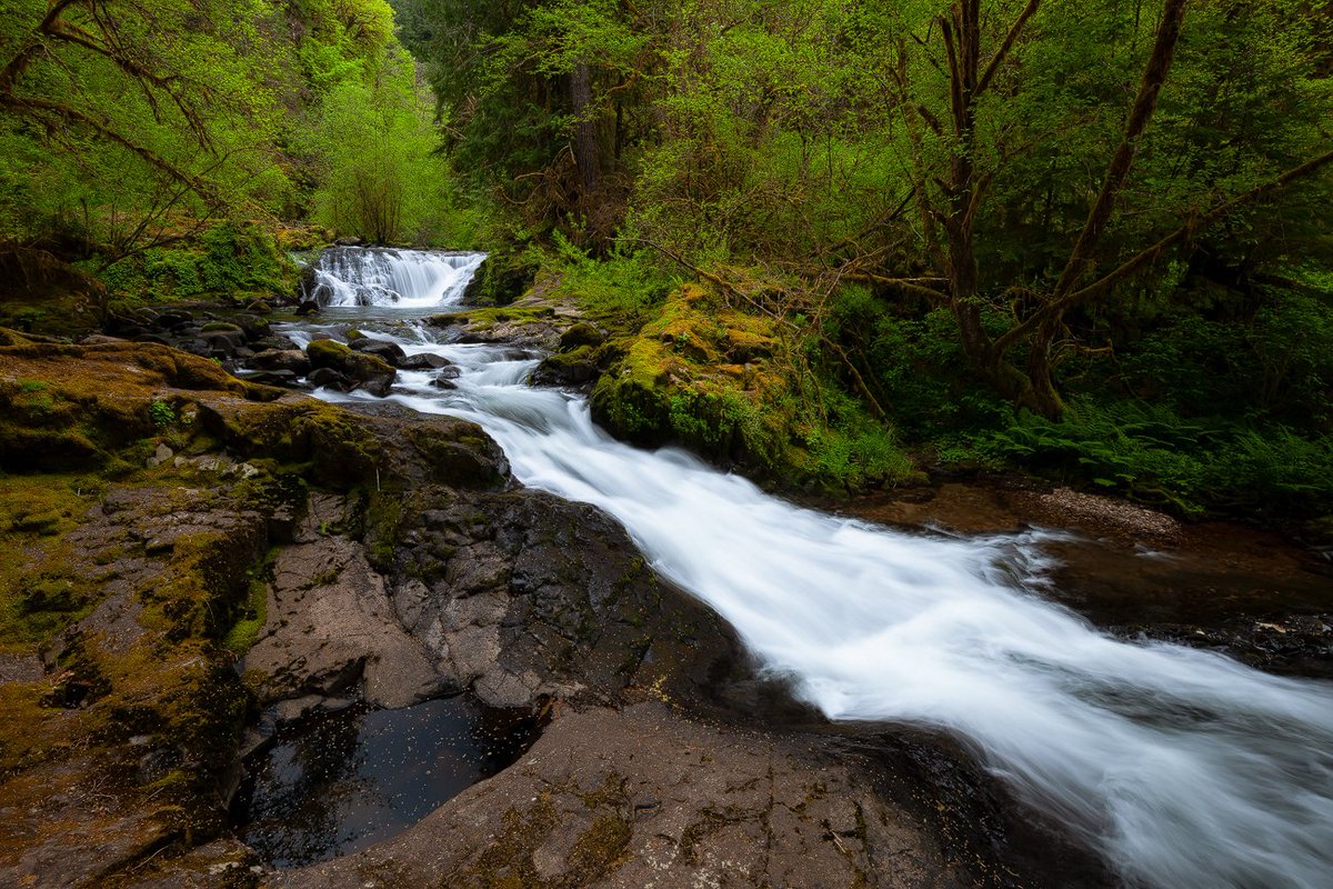 cascwild's tweet photo. Today is International Day of Action for Rivers!

Call (202) 224-3121 and thank @RonWyden and @SenJeffMerkley for introducing the River Democracy Act that would protect 4700 miles of waterways in OR, essential for rural economies, drinking water, habitat &amp; more🌊 https://t.co/p6dXplmaHj